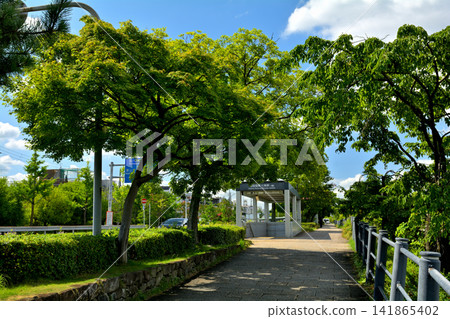 京都的風景 京都的風景 141865402