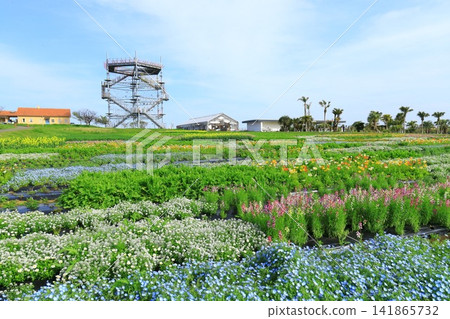 太陽山田徑場和花園 141865732