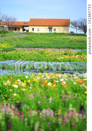 太陽山田徑場和花園 太陽山田徑場和花園 141865733