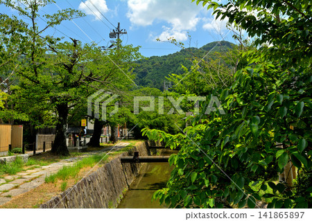 京都·哲學之路 京都·哲學之路 141865897