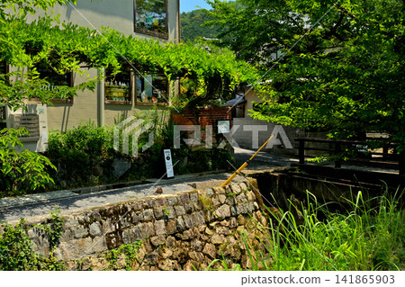 京都·哲學之路 京都·哲學之路 141865903
