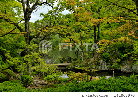 Wakayama Castle, one of Japan's 100 Famous Castles Wakayama Castle, one of Japan's 100 Famous Castles 141865976