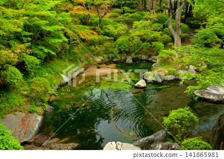 Wakayama Castle, one of Japan's 100 Famous Castles Wakayama Castle, one of Japan's 100 Famous Castles 141865981