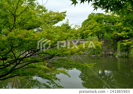 和歌山城,日本百座名城之一 和歌山城,日本百座名城之一 141865983