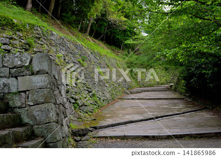 Wakayama Castle, one of Japan's 100 Famous Castles Wakayama Castle, one of Japan's 100 Famous Castles 141865986