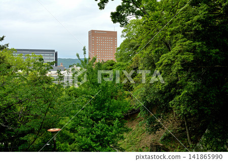 Wakayama Castle, one of Japan's 100 Famous Castles Wakayama Castle, one of Japan's 100 Famous Castles 141865990