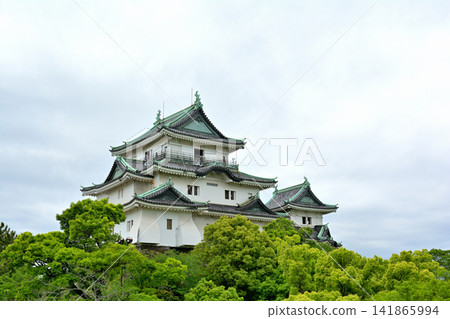 Wakayama Castle, one of Japan's 100 Famous Castles Wakayama Castle, one of Japan's 100 Famous Castles 141865994