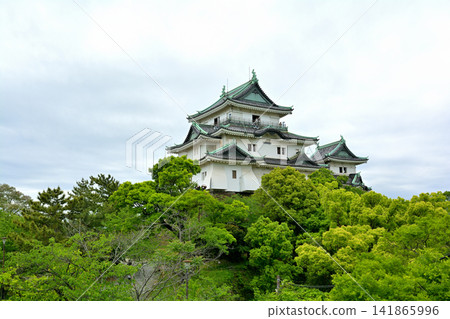 Wakayama Castle, one of Japan's 100 Famous Castles Wakayama Castle, one of Japan's 100 Famous Castles 141865996