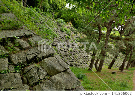 Wakayama Castle, one of Japan's 100 Famous Castles Wakayama Castle, one of Japan's 100 Famous Castles 141866002
