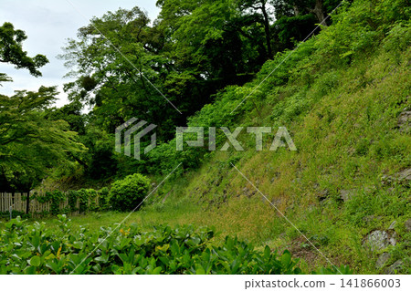 和歌山城,日本百座名城之一 和歌山城,日本百座名城之一 141866003