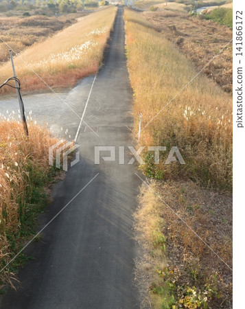 passage way passage way 141866172