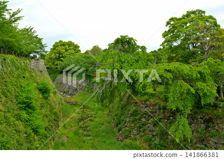 奈良郡山城 141866381