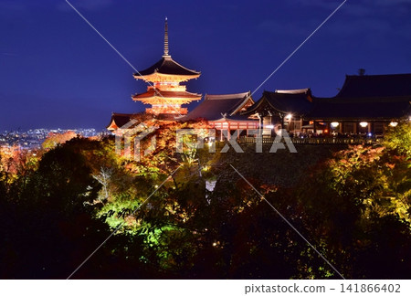 Kiyomizu-dera Temple illuminated in autumn 141866402