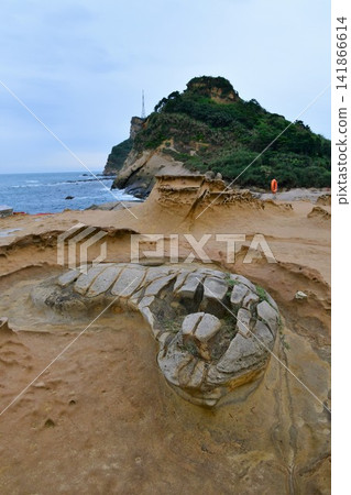 台灣,新北市,野柳地質公園,海岸線遍佈奇形怪狀的岩石和地形 台灣,新北市,野柳地質公園,海岸線遍佈奇形怪狀的岩石和地形 141866614