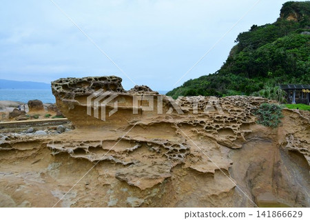 台灣,新北市,野柳地質公園,海岸線上遍布形狀奇特的岩石和地貌,蜂窩狀風化岩石 台灣,新北市,野柳地質公園,海岸線上遍布形狀奇特的岩石和地貌,蜂窩狀風化岩石 141866629