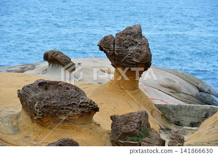 台灣,新北市,野柳地質公園,海岸線上遍布形狀奇特的岩石和巨石,蘑菇岩 台灣,新北市,野柳地質公園,海岸線上遍布形狀奇特的岩石和巨石,蘑菇岩 141866630