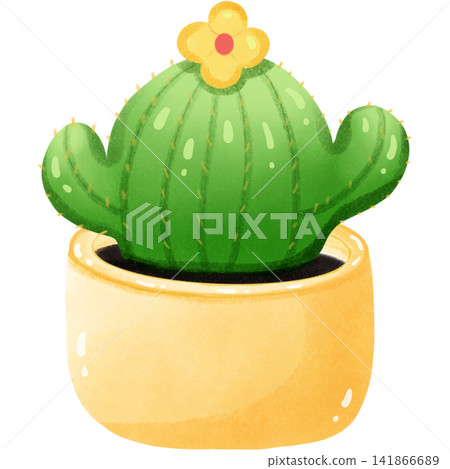 The little cactus for ornamental The little cactus for ornamental 141866689