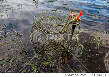 A fishing net lies in the water at the river's edge among the grass. The net is designed to catch fish while submerged A fishing net lies in the water at the river's edge among the grass. The net is designed to catch fish while submerged 141866701