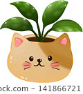 The little tree for ornamental  141866721