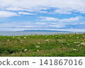 Rishiri Island as seen from Rishiri-Rebun-Sarobetsu National Park in summer, Toyotomi Town, Hokkaido 141867016