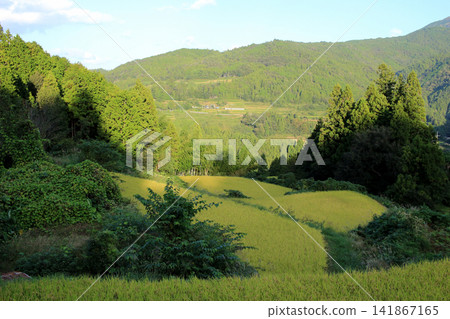 層層疊疊的梯田遍布山巒 層層疊疊的梯田遍布山巒 141867165