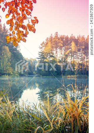A man stands on the picturesque lakeshore in the evening. The man takes a photo of the lake with a mobile phone A man stands on the picturesque lakeshore in the evening. The man takes a photo of the lake with a mobile phone 141867309