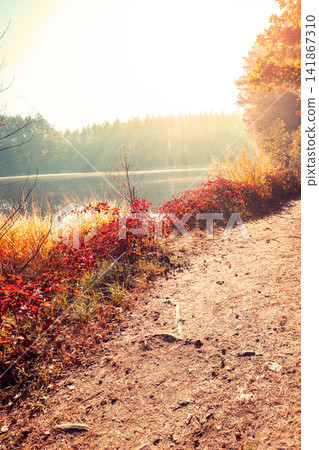 Man tourist stands on a picturesque lakeshore in the autumn morning and looking at the sunrise Man tourist stands on a picturesque lakeshore in the autumn morning and looking at the sunrise 141867310