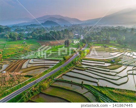 Aerial view of lush green rice terraces at sunrise with golden light reflecting in the water, surrounded by palm trees and misty mountains in Wonosobo, Central Java, Indonesia. Aerial view of lush green rice terraces at sunrise with golden light reflecting in the water, surrounded by palm trees and misty mountains in Wonosobo, Central Java, Indonesia. 141867445