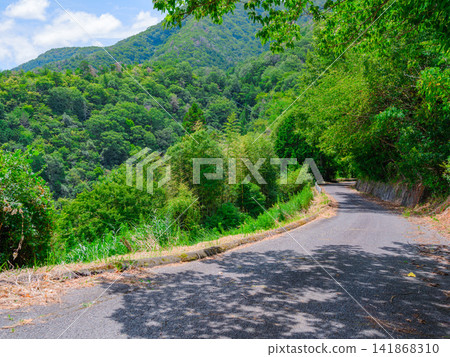 香川縣鹽江町鬱鬱蔥蔥的夏季山景和山間小徑 香川縣鹽江町鬱鬱蔥蔥的夏季山景和山間小徑 141868310