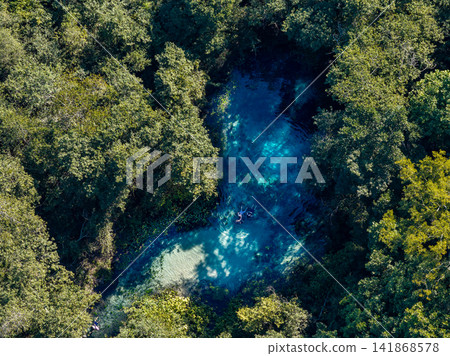 Aerial view of people swimming in a clear blue spring surrounded by forest near Bonito, Brazil. 141868578