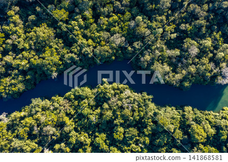 An aerial photograph taken from directly above of a dark blue river meandering through a deep forest near Bonito, Brazil. An aerial photograph taken from directly above of a dark blue river meandering through a deep forest near Bonito, Brazil. 141868581