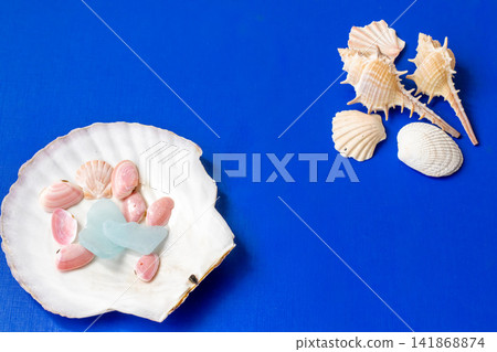Seashells against a blue background Seashells against a blue background 141868874