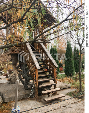 Rustic wooden staircase in a garden with a green conifer tree beside it. Rustic wooden staircase in a garden with a green conifer tree beside it. 141869940