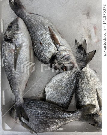 Fresh fish on ice in market display showcasing seafood selection background Fresh fish on ice in market display showcasing seafood selection background 141870378