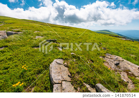 carpathian mountain landscape in summer. nice view of a grassy alpine meadow. rock and yellow herbs on the hill. sunny mountain weather with fluffy clouds on the sky carpathian mountain landscape in summer. nice view of a grassy alpine meadow. rock and yellow herbs on the hill. sunny mountain weather with fluffy clouds on the sky 141870514