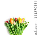 A bouquet of colorful tulips isolated on white background. Spring flowers composition. Space for text. Top view, flat lay. 141870554