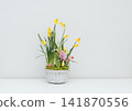 Beautiful flowers in a basket on white background. Floral composition of spring yellow daffodils in a white basket. 141870556