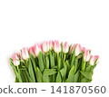 Elegant bouquet of pink and white tulips isolated on white background. Spring flowers composition. Copy space, top view, flat lay. 141870560