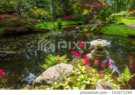 Awe scene in japanese garden at May in the Hague Awe scene in japanese garden at May in the Hague 141871294
