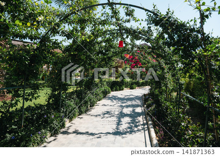 Decorative garden arch covered with climbing vines and hanging lights, sunny outdoor pathway with blue sky and lush greenery, summer botanical background Decorative garden arch covered with climbing vines and hanging lights, sunny outdoor pathway with blue sky and lush greenery, summer botanical background 141871363