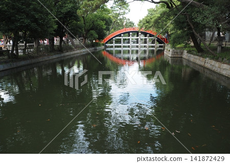 Sumiyoshi Taisha的太鼓橋 Sumiyoshi Taisha的太鼓橋 141872429