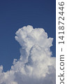 夏天的藍天白雲 141872446