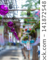 Wind chime path at Kunitama Shrine 141872548