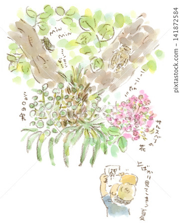 夏季綠道水彩插圖(蟬鳴、棕櫚果、紫薇花) 夏季綠道水彩插圖(蟬鳴、棕櫚果、紫薇花) 141872584