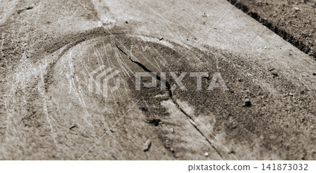 Weathered cracked wood texture. Weathered cracked wood texture. 141873032