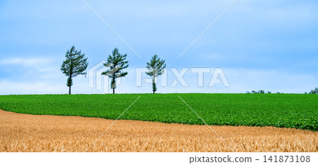 Hill of fairy tale Hill of fairy tale 141873108
