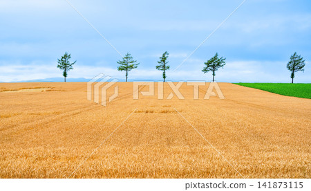 Hill of fairy tale Hill of fairy tale 141873115