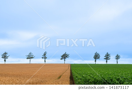 Hill of fairy tale Hill of fairy tale 141873117