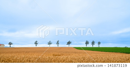 Hill of fairy tale Hill of fairy tale 141873119