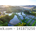 星峠梯田（新潟縣十日町市） 141873250